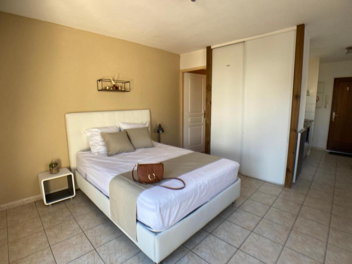 Studio Climatise Et Grande Terrasse Tarbes Centre מראה חיצוני תמונה